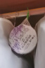 樱之花加香型防蛀防霉网袋80g*6代替樟脑丸卫生球羊绒棉毛衣物柜驱蛀虫 实拍图