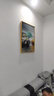Sixpoetry 客厅装饰画现代简约沙发背景墙壁画轻奢三联晶瓷画大气高档挂画 福禄生辉（铝合金外框） 晶瓷画左右50*70+中间100*70亮面 实拍图