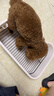 HELLOJOY狗厕所中型小型犬专用防踩屎便盆尿尿盆非不锈钢大小便神器狗砂盆 实拍图