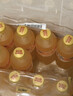 可口可乐（Coca-Cola）芬达 Fanta 高考季 无糖零卡橙味汽水饮料500ml*12瓶 高分必达 实拍图