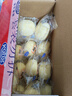 港荣蒸蛋糕奶香900g面包零食饼干西式糕点甜品零食下午茶独立小包装 实拍图