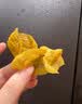 玉滋堂特级鸡内金鸡胗皮干货可炒可磨粉儿童调理脾胃消食化积养生茶3罐 实拍图