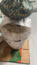 塔牌绍兴特产黄酒加饭酒10kg大坛装手工冬酿花雕酒半干型 16度 含酒吊 10L 1坛 实拍图