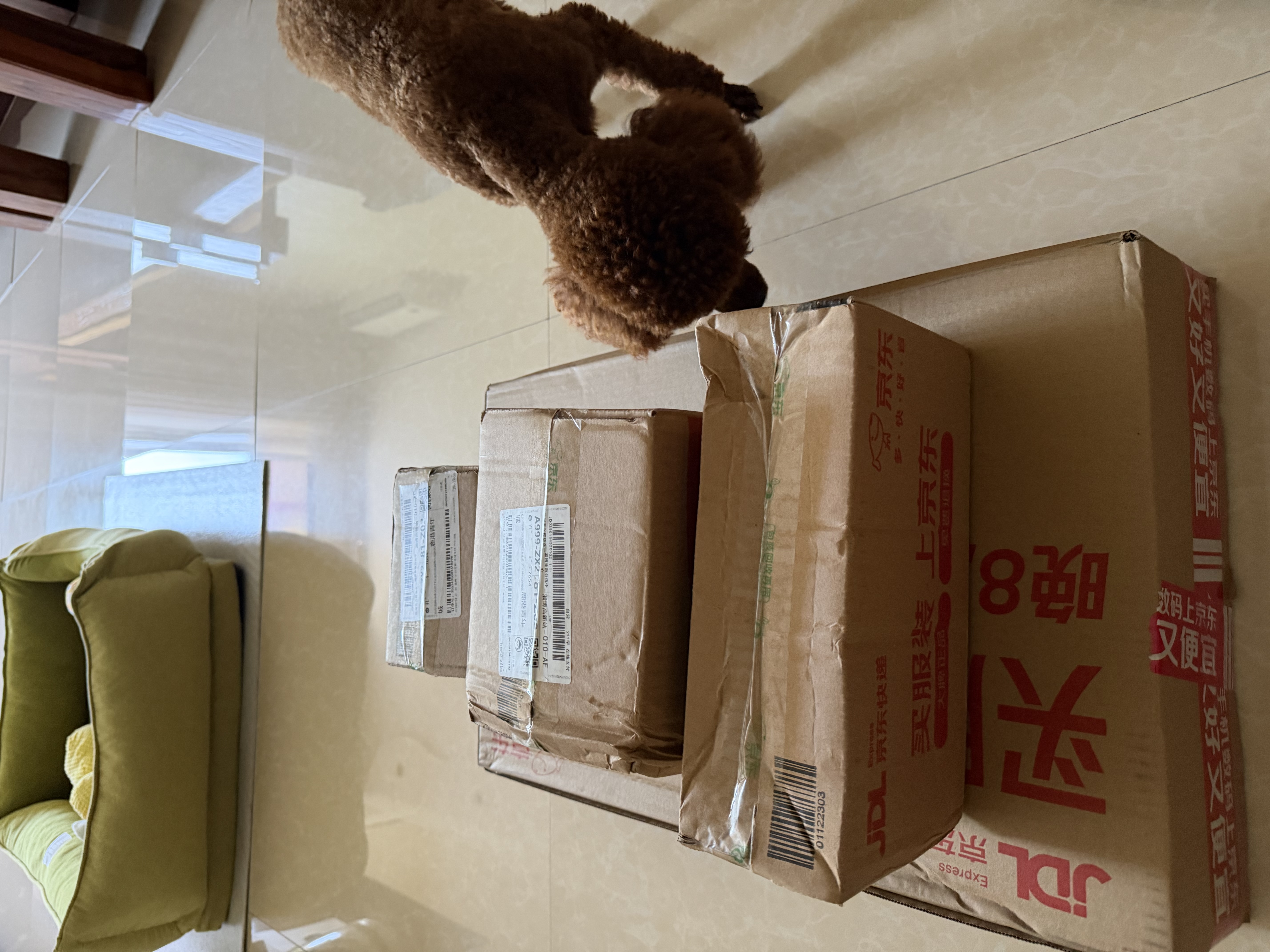 麦德氏IN四合一配方羊奶粉300g宠物羊奶粉狗狗猫咪幼犬幼猫 实拍图