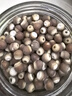 福茗源芡实500g 特级品质芡实米鸡头米鸡头果红皮芡实仁五谷杂粮养生茶 实拍图