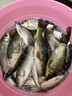 海润 渔具海杆全套远投竿超硬海竿渔具鱼竿套装一套大物钓鱼竿装备品牌抛竿 2.4m +2.4米+5000轮+包 实拍图