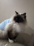 力狼（LILANG）宠物猫粮幼猫成猫零食猫湿粮猫咪猫罐头 金枪鱼+混合口味170g*12罐 实拍图