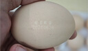 京鲜生 无抗保洁鲜鸡蛋30枚/盒 健康轻食 礼盒送礼 1.5kg/盒 源头直发 实拍图