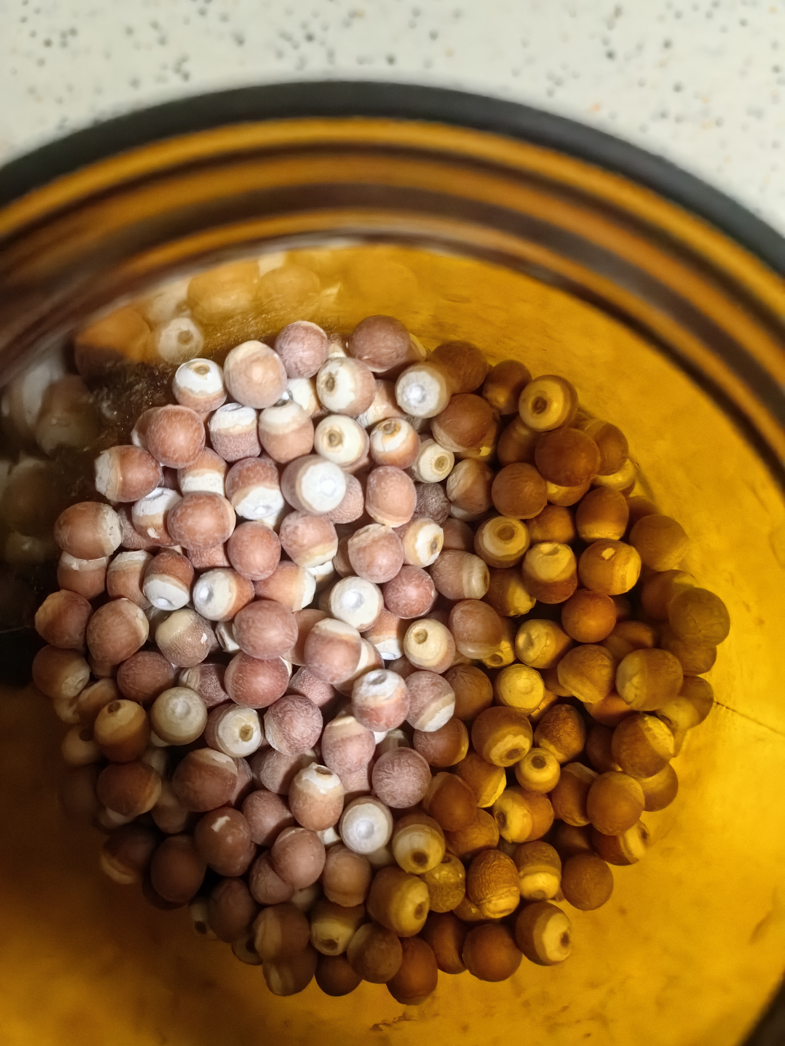 方家铺子中华老字号 六星鸡头米 芡实 炖汤煲粥配料红皮芡实500g 始于1906 实拍图