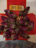 贡苑特级玫瑰花茶【绿色食品】平阴重瓣大朵胎玫瑰无硫花草养生茶 实拍图
