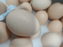 京鲜生 无抗保洁鲜鸡蛋30枚/盒 健康轻食 礼盒送礼 1.5kg/盒 源头直发 实拍图