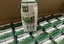 伊利【新鲜日期】金典纯牛奶整箱 200ml*24 3.6g乳蛋白 礼盒装 5月 实拍图