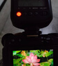 神牛（Godox）TT520III热靴机顶闪光灯 兼容佳能尼康索尼相机外拍闪光离机热靴闪光灯 通用型 （带引闪器） 实拍图