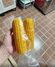 佳农内蒙黄糯玉米棒8袋*220g 真空锁鲜 源头直发 包邮 生鲜礼盒 实拍图