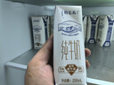 蒙牛特仑苏纯牛奶250ml*16盒 家庭早餐 送礼盒装送礼礼盒 实拍图