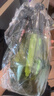 九千谷喷壶1.5L墨绿色 喷雾器消毒杀菌浇花浇水壶喷雾瓶大号喷壶1343 实拍图