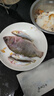 龙王恨鱼饵蓝鲫X5青春版腥香饵江河黑坑野钓鲫鲤草鳊鱼通杀综合钓鱼饵料 蓝鲫X5-香腥(300g/1包) 实拍图