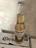 科罗娜（CORONA）特级啤酒330ml*12瓶啤酒整箱装经典拉格京东自营 实拍图