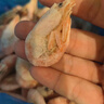 禧美海产加拿大北极甜虾净重3斤/盒 90/120规格 熟冻  MSC认证 轻食海鲜 实拍图