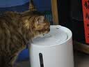 小佩宠物智能饮水机SOLO 2象牙白 猫咪饮水机狗狗喝水猫狗碗 无线水泵 实拍图