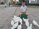 爱贝迪拉（AIBEDILA）隔尿裙男宝宝训练裤儿童睡觉防水可洗戒尿不湿神器防漏尿男童女童 实拍图