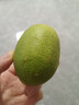 村下佬海南无籽香水柠檬新鲜现摘现发青柠檬暴打柠檬茶奶茶店推荐 海南无籽香水柠檬-单果80g 中果：2粒单果净重80克+ 实拍图