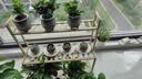 安尔雅花架子阳台客厅落地式多层置物架多肉植物花盆架子 实拍图
