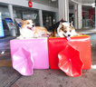Meatyway爵宴'自然之味'宠爱礼盒1.072kg 宠物狗狗零食训犬大礼包 实拍图