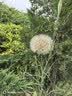 超威电蚊香液基孔肯雅热灭蚊器无香驱蚊液防蚊补充液6瓶2加热器 实拍图