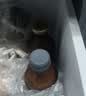 【原研药】瑞能 肠内营养乳剂(TPF-T) 200ml/盒 实拍图