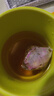 一杯香茶叶冷泡茶玫瑰红茶桂花龙井咖啡乌龙袋泡茶花果茶8g试饮装试喝装 实拍图