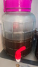 极度空间泡酒瓶 泡酒容器装加厚玻璃罐家用泡菜坛子密封罐酒坛 10斤带龙头 实拍图