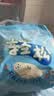 佳婴轻松拉拉裤XL码74片(8-14KG)超薄夏季透气新生婴儿男女宝宝尿不湿 实拍图