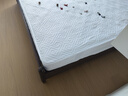 喜临门梦蝶lite床垫 舒脊黄麻三区独袋弹簧床垫 强支撑床垫 1.8x2米偏硬 实拍图