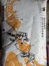 骆驼（CAMEL）[北风]三合一冲锋衣户外登山服防风防雨防污抓绒羽绒内胆运动外套 [羽绒]幻影黑冰晶灰,男 A13CAXX085Y M 实拍图