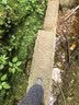 迪卡侬户外女款MH100低帮透气轻盈抓地防滑登山徒步鞋铅灰色40 4194523 实拍图