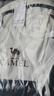 骆驼（CAMEL）【云影】双肩包男背包防泼水旅行包轻量书包学生户外徒步登山包 实拍图