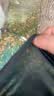 真维斯（Jeanswest）冰丝短袖T恤男夏季纯色体恤衫宽松大码运动健身半袖男士速干上衣 实拍图