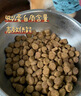网易严选全价猫粮4.0成幼猫三文鱼亮毛养胃深海鱼虾1.8kg*6袋【宠物金选】 实拍图