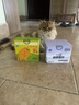 耐威克猫零食猫条 混合口味美毛补水 成猫幼猫湿粮猫咪猫零食66支 实拍图