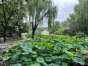 小米（MI）REDMI Buds 8 活力版真无线蓝牙耳机 适用于安卓苹果手机 奶白 实拍图