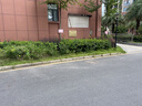 小熊（Bear）【UVC除菌】空气加湿器家用 婴幼儿专用卧室鼻炎静音除菌大雾量 桌面小型空调加湿器JSQ-Z50G2 实拍图