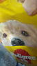 宝路进口狗罐头狗零食狗湿粮成犬主食妙鲜包100g*（牛肉*8鸡肉*4） 实拍图
