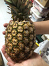 佳农菲律宾进口菠萝2个装 凤梨 单果净重2斤 源头直发 生鲜水果 包邮 实拍图