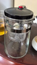 飘逸壶泡茶壶耐热高温玻璃沏茶过滤内胆冲茶器家用茶具套装 飘逸杯500mL1个 实拍图