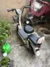 驰小虎电动自行车 吉祥虎新国标电动车电动自行车48V12Ah铅酸电池长续航电瓶车成人代步车电车白色 实拍图