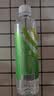 依能 青柠檬味 无糖无汽弱碱苏打水饮料 500ml*15瓶 可饮用饮品整箱装 实拍图