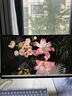 AOC Q24G4E 23.8英寸 2K显示器 180Hz FastIPS 1ms响应  广色域 低蓝光不闪  小钢炮Pro三角洲游戏 【悍将Pro】2K 180HZ Q24G50 实拍图