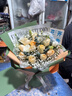 艾斯维娜鲜花速递11朵玫瑰花束送女友生日礼物全国同城配送 11朵香槟玫瑰花束-推荐款 实拍图