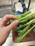 绿食者 甜杆西兰苔 新鲜蔬菜芦笋西兰花时令蔬菜清甜脆嫩西餐食材 500g 实拍图